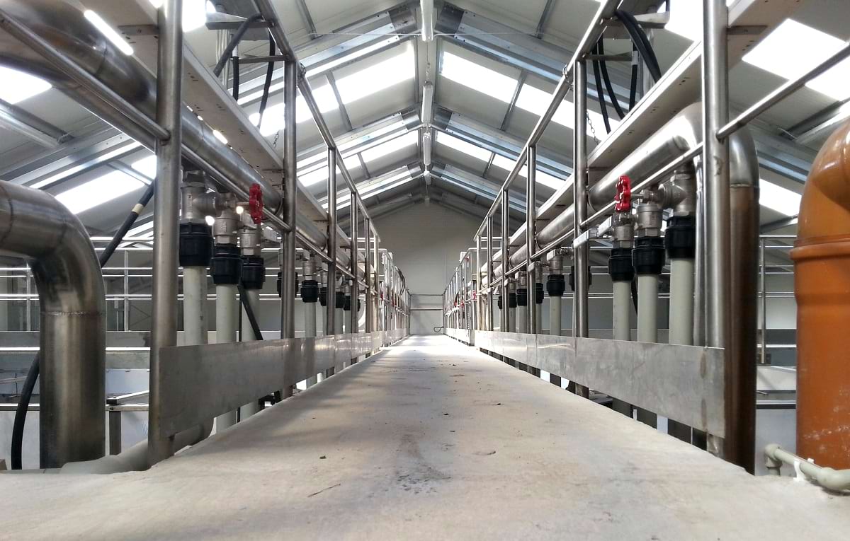 Komorowe prasy filtracyjne